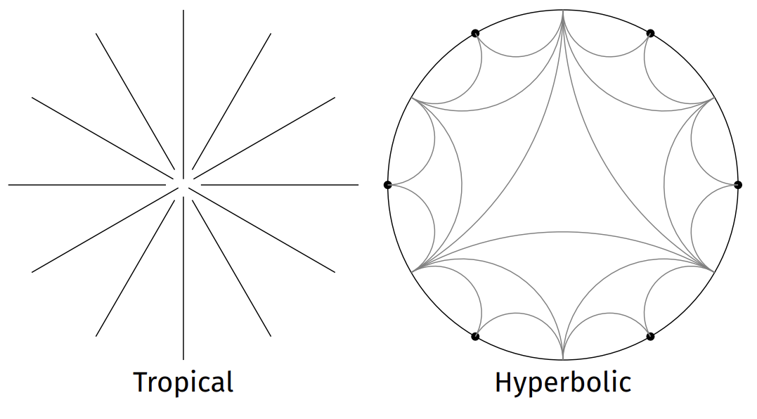 meromorphic-parameters